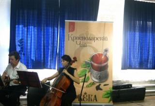 «Объединение Краснодарский чай» организовало концерты для детей